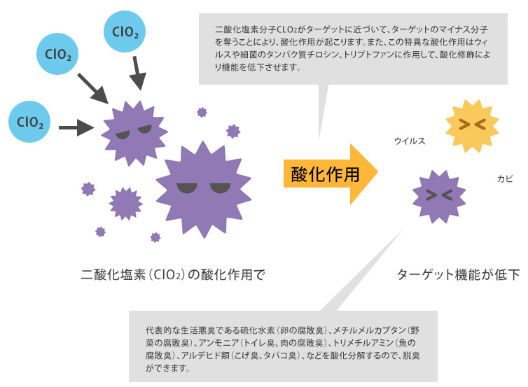 二酸化塩素の消臭メカニズム