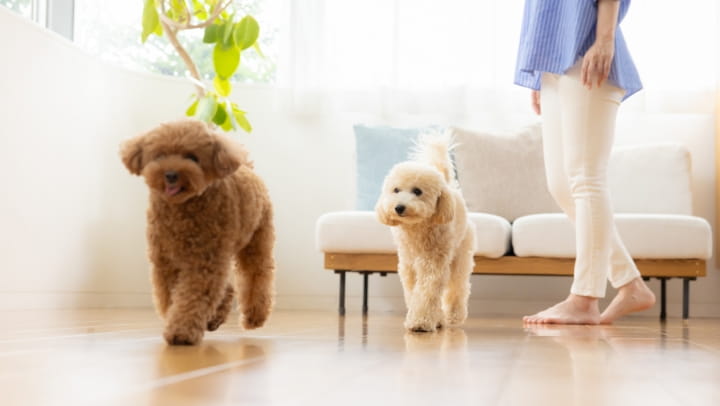 印刷工場/塗装工場