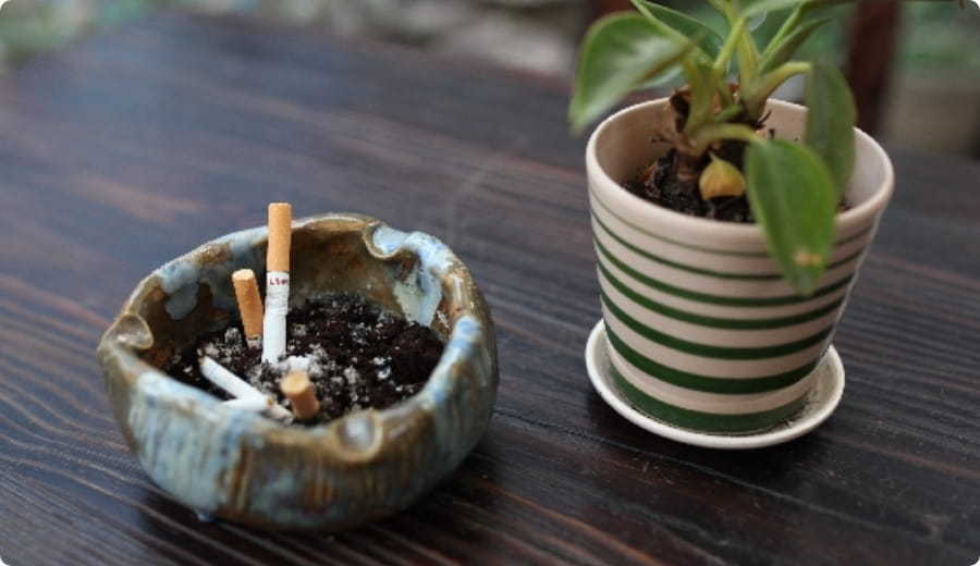 タバコのニオイ問題